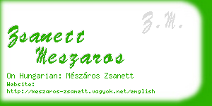 zsanett meszaros business card